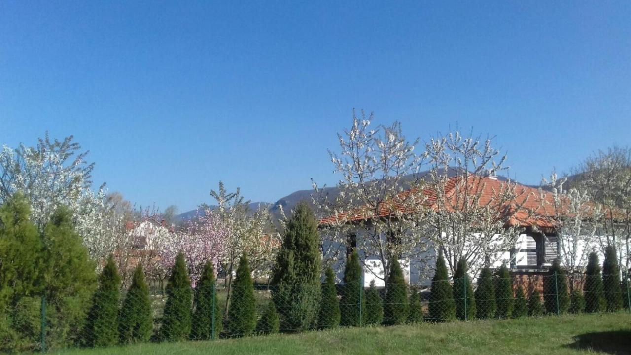 House Milovanovic Soko Banja Exterior photo