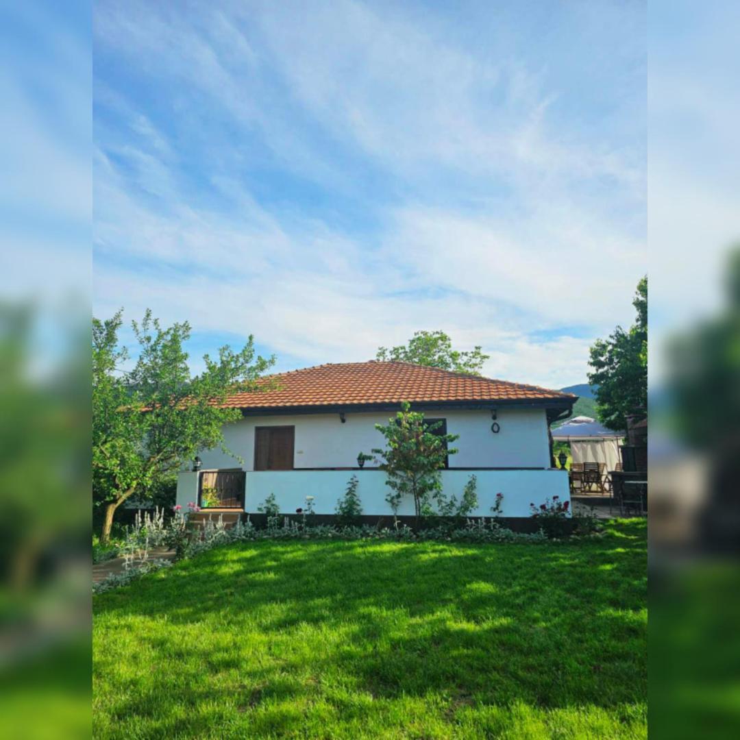 House Milovanovic Soko Banja Exterior photo